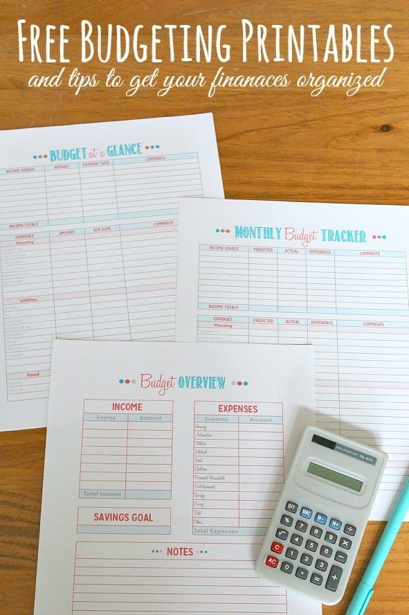 Free Budget Template from Clean and Scentsible