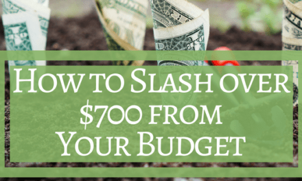 How to Slash over $700 from your Budget